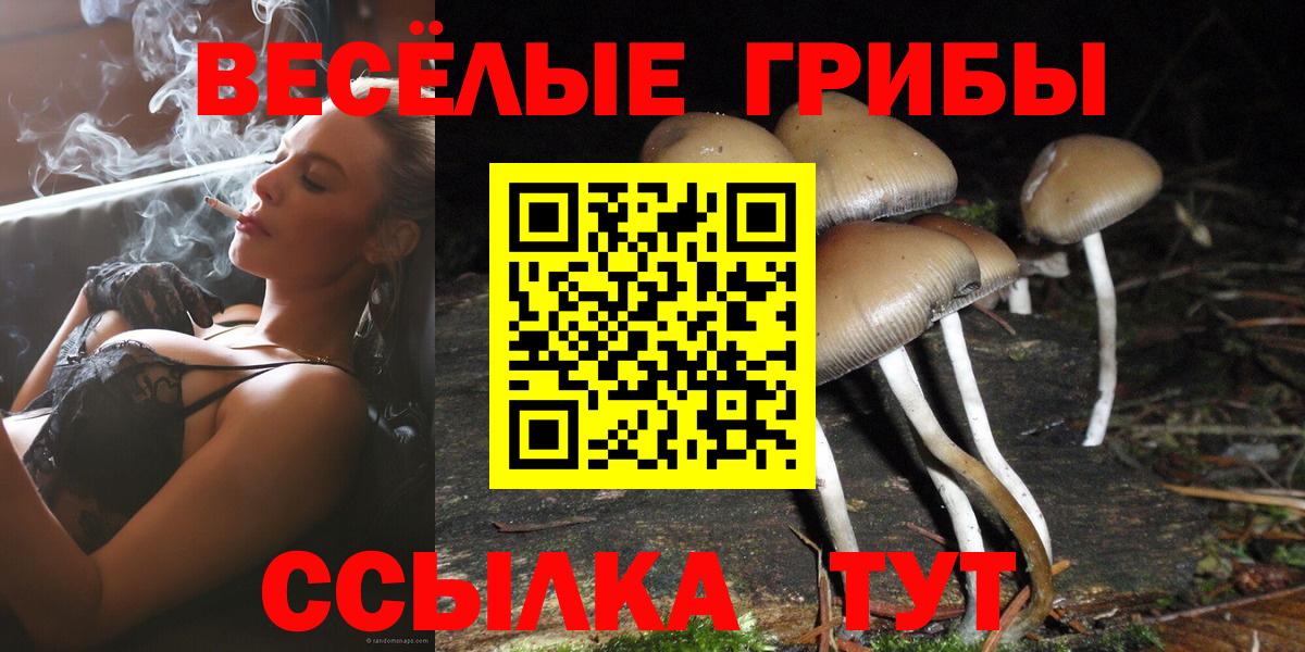 Галлюциногенные грибы Magic Shrooms Камень-на-Оби